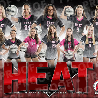 14FCSatellite_poster