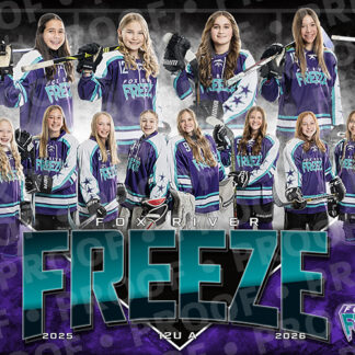 Freeze12UAposter