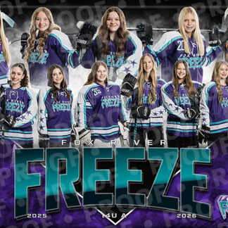 Freeze14UAposter